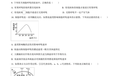 黑龙江省龙东地区2024-2025学年高一上学期期末考试生物试卷Word版无答案_2025年02月试卷_0219黑龙江省龙东地区2024-2025学年高一上学期1月期末考试