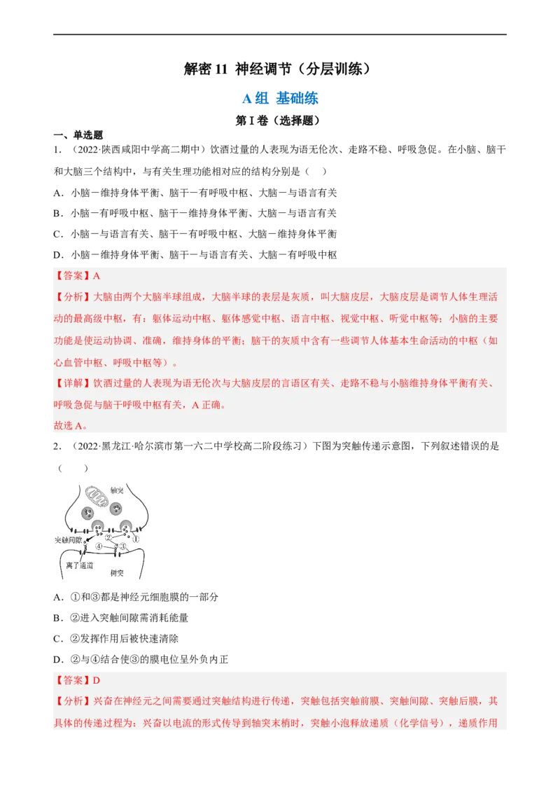 解密11神经调节（分层训练)（解析版）_通用版（老高考）复习资料_2023年复习资料_二轮复习_高频考点解密2023年高考生物二轮复习讲义+分层训练（全国通用）