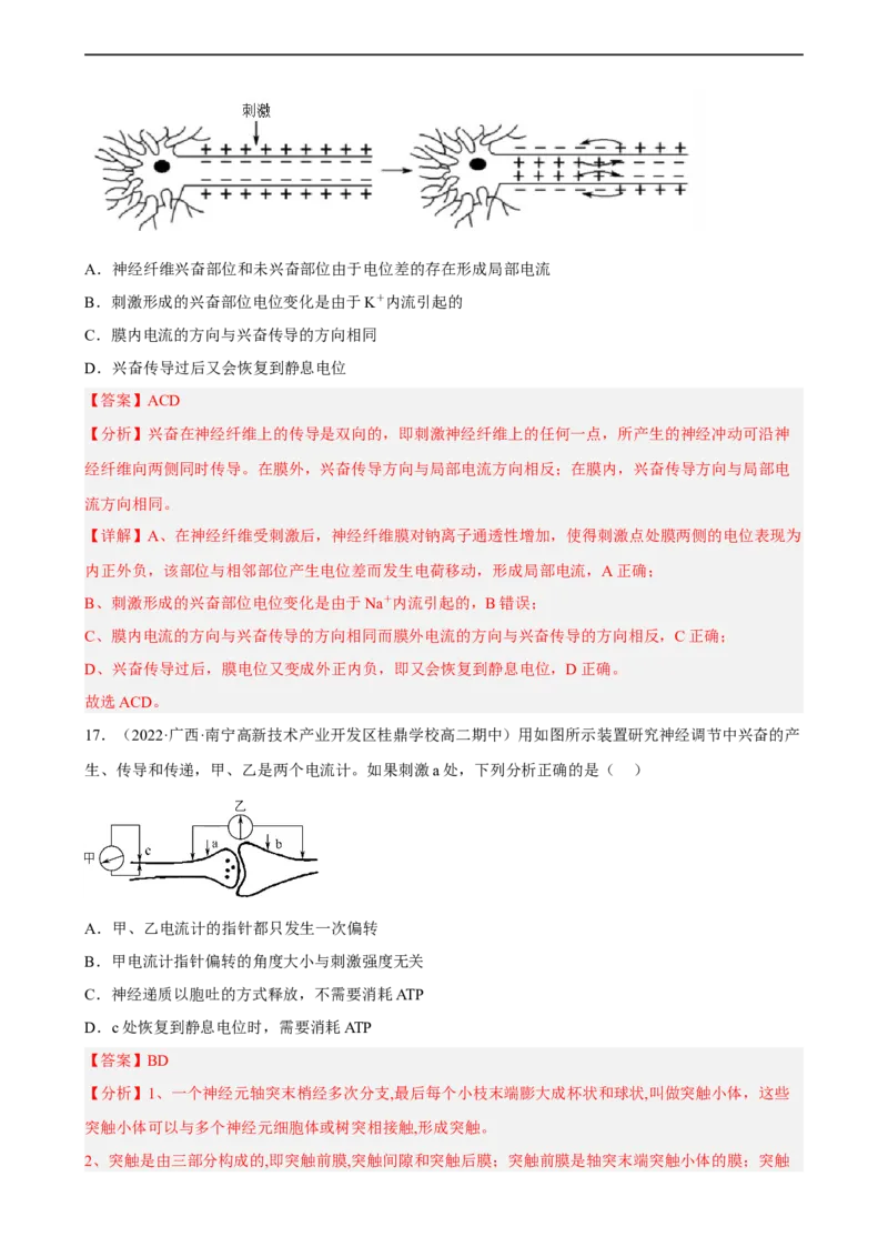 解密11神经调节（分层训练)（解析版）_通用版（老高考）复习资料_2023年复习资料_二轮复习_高频考点解密2023年高考生物二轮复习讲义+分层训练（全国通用）