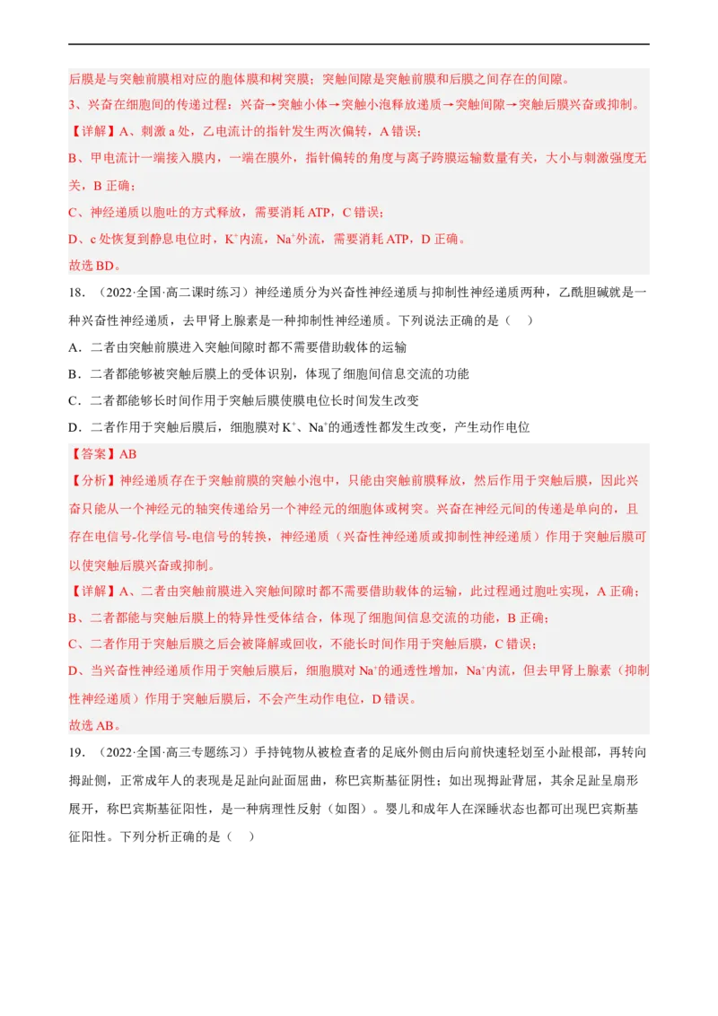 解密11神经调节（分层训练)（解析版）_通用版（老高考）复习资料_2023年复习资料_二轮复习_高频考点解密2023年高考生物二轮复习讲义+分层训练（全国通用）
