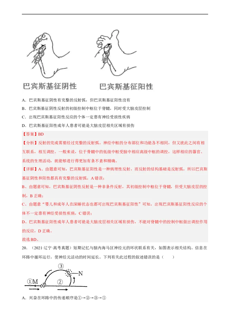 解密11神经调节（分层训练)（解析版）_通用版（老高考）复习资料_2023年复习资料_二轮复习_高频考点解密2023年高考生物二轮复习讲义+分层训练（全国通用）