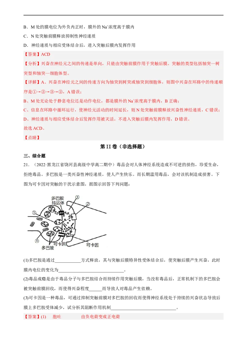 解密11神经调节（分层训练)（解析版）_通用版（老高考）复习资料_2023年复习资料_二轮复习_高频考点解密2023年高考生物二轮复习讲义+分层训练（全国通用）