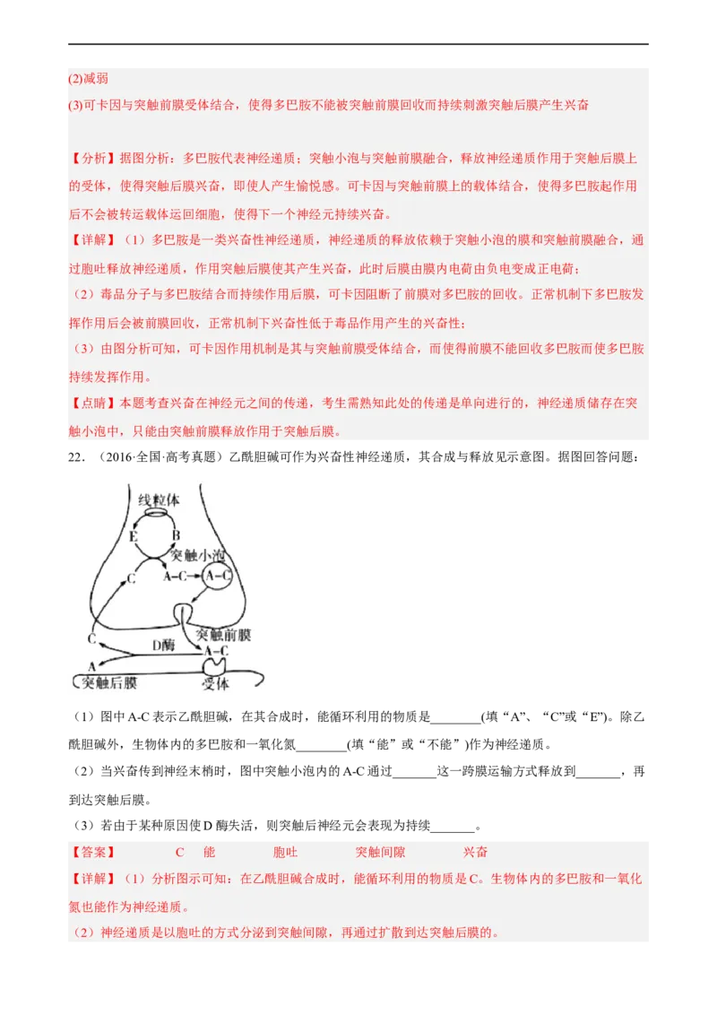 解密11神经调节（分层训练)（解析版）_通用版（老高考）复习资料_2023年复习资料_二轮复习_高频考点解密2023年高考生物二轮复习讲义+分层训练（全国通用）
