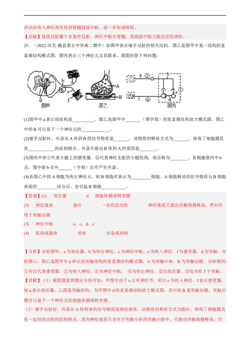 解密11神经调节（分层训练)（解析版）_通用版（老高考）复习资料_2023年复习资料_二轮复习_高频考点解密2023年高考生物二轮复习讲义+分层训练（全国通用）