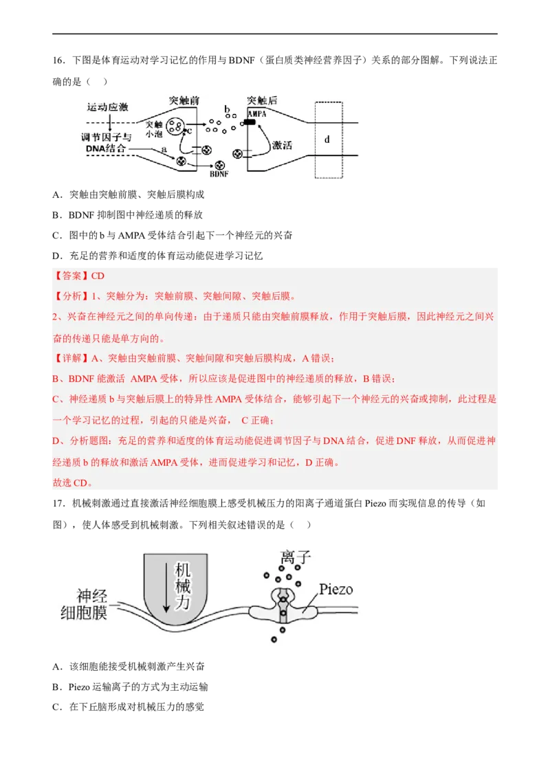 解密11神经调节（分层训练)（解析版）_通用版（老高考）复习资料_2023年复习资料_二轮复习_高频考点解密2023年高考生物二轮复习讲义+分层训练（全国通用）