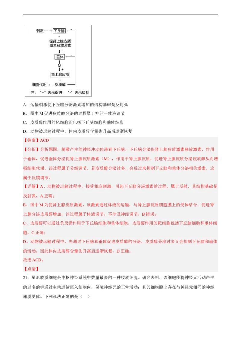 解密11神经调节（分层训练)（解析版）_通用版（老高考）复习资料_2023年复习资料_二轮复习_高频考点解密2023年高考生物二轮复习讲义+分层训练（全国通用）