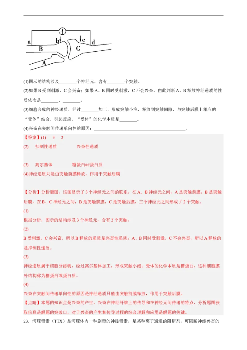 解密11神经调节（分层训练)（解析版）_通用版（老高考）复习资料_2023年复习资料_二轮复习_高频考点解密2023年高考生物二轮复习讲义+分层训练（全国通用）