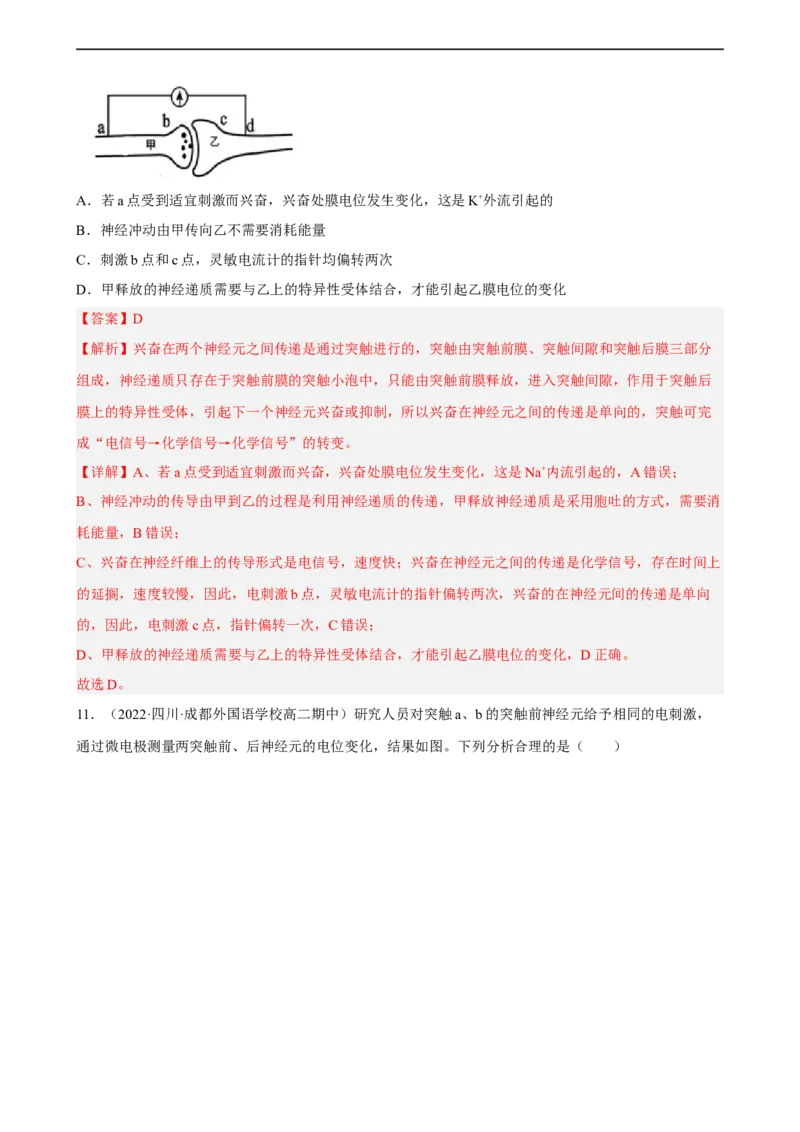 解密11神经调节（分层训练)（解析版）_通用版（老高考）复习资料_2023年复习资料_二轮复习_高频考点解密2023年高考生物二轮复习讲义+分层训练（全国通用）