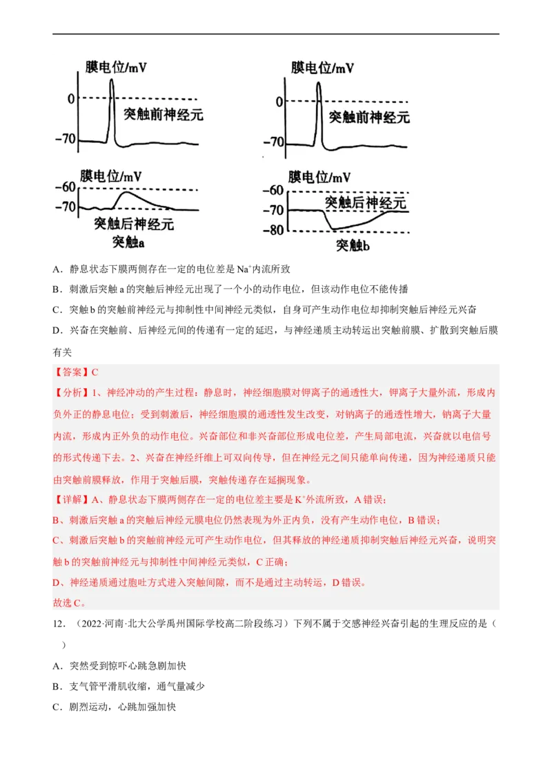 解密11神经调节（分层训练)（解析版）_通用版（老高考）复习资料_2023年复习资料_二轮复习_高频考点解密2023年高考生物二轮复习讲义+分层训练（全国通用）