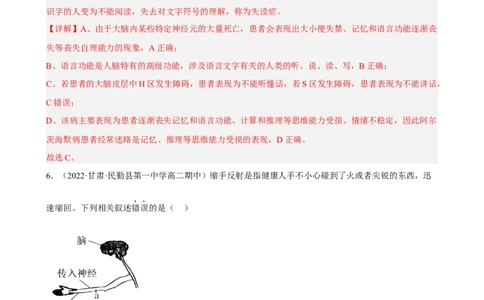 解密11神经调节（分层训练)（解析版）_通用版（老高考）复习资料_2023年复习资料_二轮复习_高频考点解密2023年高考生物二轮复习讲义+分层训练（全国通用）