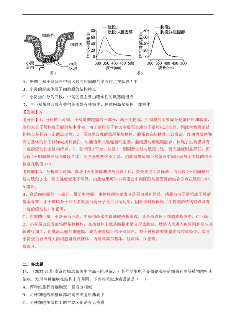 解密02细胞的基本结构（分层训练)（解析版）_通用版（老高考）复习资料_2023年复习资料_二轮复习_高频考点解密2023年高考生物二轮复习讲义+分层训练（全国通用）
