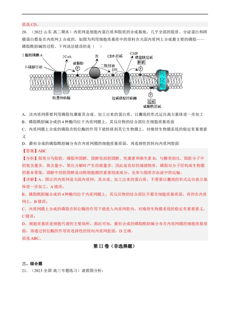 解密02细胞的基本结构（分层训练)（解析版）_通用版（老高考）复习资料_2023年复习资料_二轮复习_高频考点解密2023年高考生物二轮复习讲义+分层训练（全国通用）