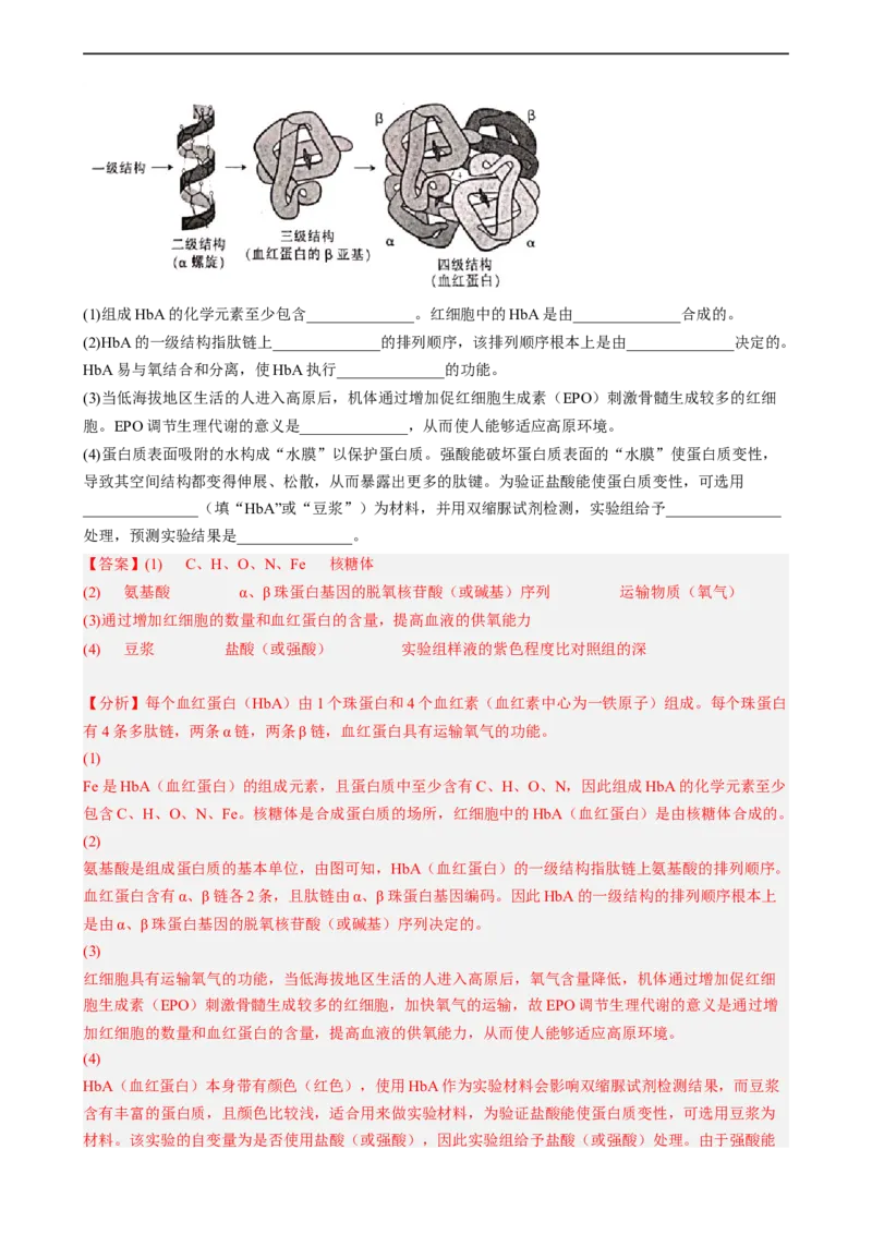 解密02细胞的基本结构（分层训练)（解析版）_通用版（老高考）复习资料_2023年复习资料_二轮复习_高频考点解密2023年高考生物二轮复习讲义+分层训练（全国通用）