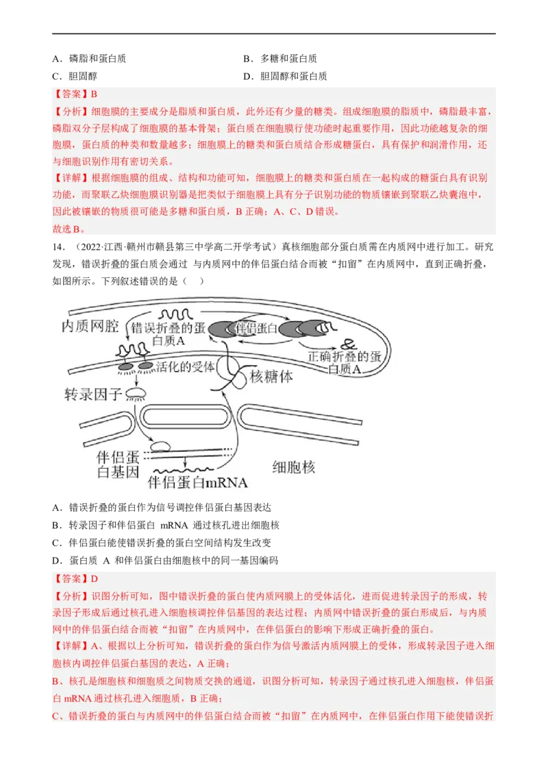 解密02细胞的基本结构（分层训练)（解析版）_通用版（老高考）复习资料_2023年复习资料_二轮复习_高频考点解密2023年高考生物二轮复习讲义+分层训练（全国通用）