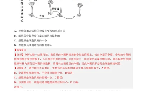 解密02细胞的基本结构（分层训练)（解析版）_通用版（老高考）复习资料_2023年复习资料_二轮复习_高频考点解密2023年高考生物二轮复习讲义+分层训练（全国通用）