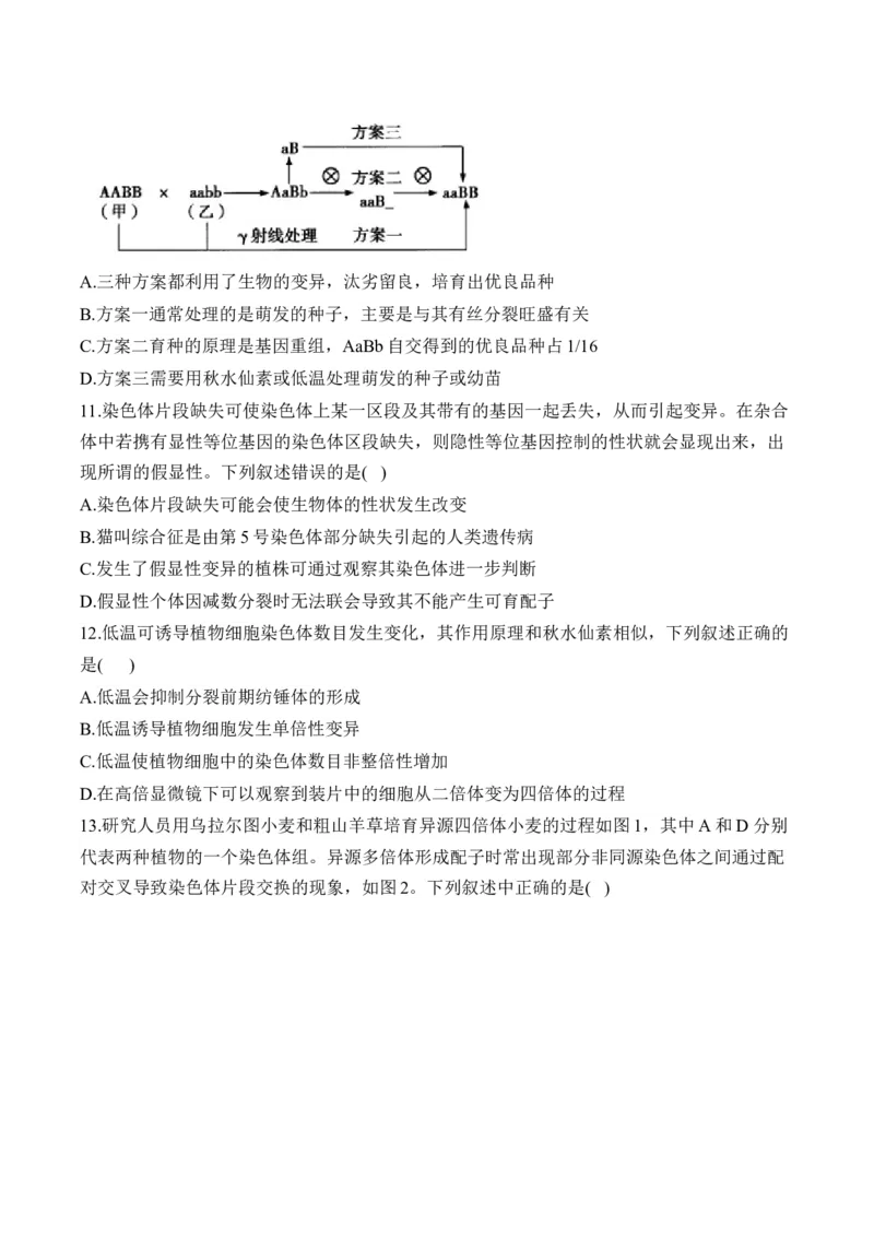 （13）生物的变异与育种&mdash;&mdash;2025届高考生物二轮复习易错重难提升学案（含解析）_2025年新高考资料_二轮复习_2025届高考生物二轮复习易错重难提升（含解析）