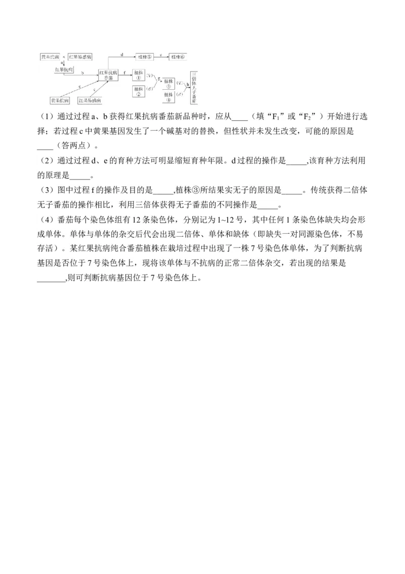 （13）生物的变异与育种&mdash;&mdash;2025届高考生物二轮复习易错重难提升学案（含解析）_2025年新高考资料_二轮复习_2025届高考生物二轮复习易错重难提升（含解析）