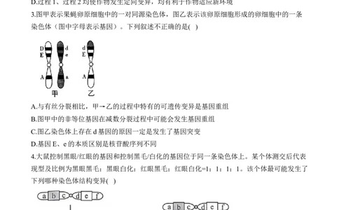 （13）生物的变异与育种&mdash;&mdash;2025届高考生物二轮复习易错重难提升学案（含解析）_2025年新高考资料_二轮复习_2025届高考生物二轮复习易错重难提升（含解析）