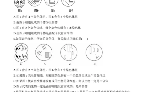 （13）生物的变异与育种&mdash;&mdash;2025届高考生物二轮复习易错重难提升学案（含解析）_2025年新高考资料_二轮复习_2025届高考生物二轮复习易错重难提升（含解析）