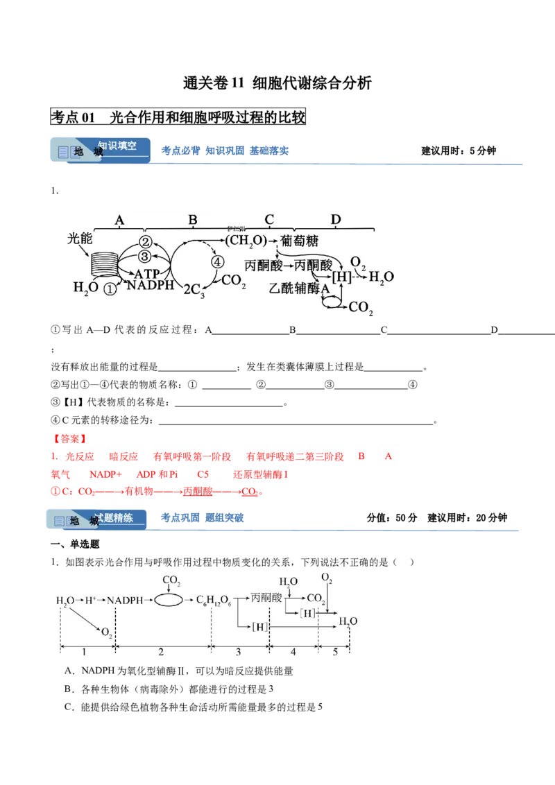 考点通关卷11细胞代谢综合分析（解析版）_新高考复习资料_2025年新高考资料_2025年高考生物一轮复习考点通关卷（新高考通用）