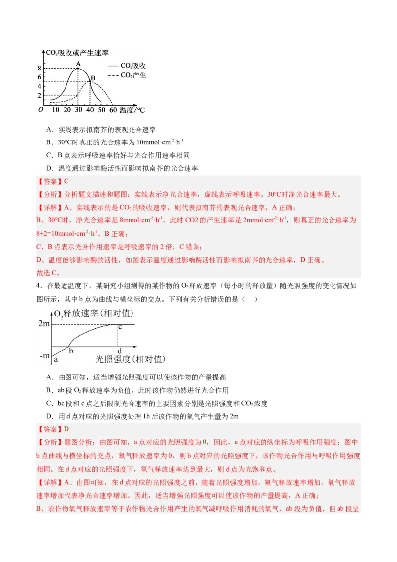 考点通关卷11细胞代谢综合分析（解析版）_新高考复习资料_2025年新高考资料_2025年高考生物一轮复习考点通关卷（新高考通用）