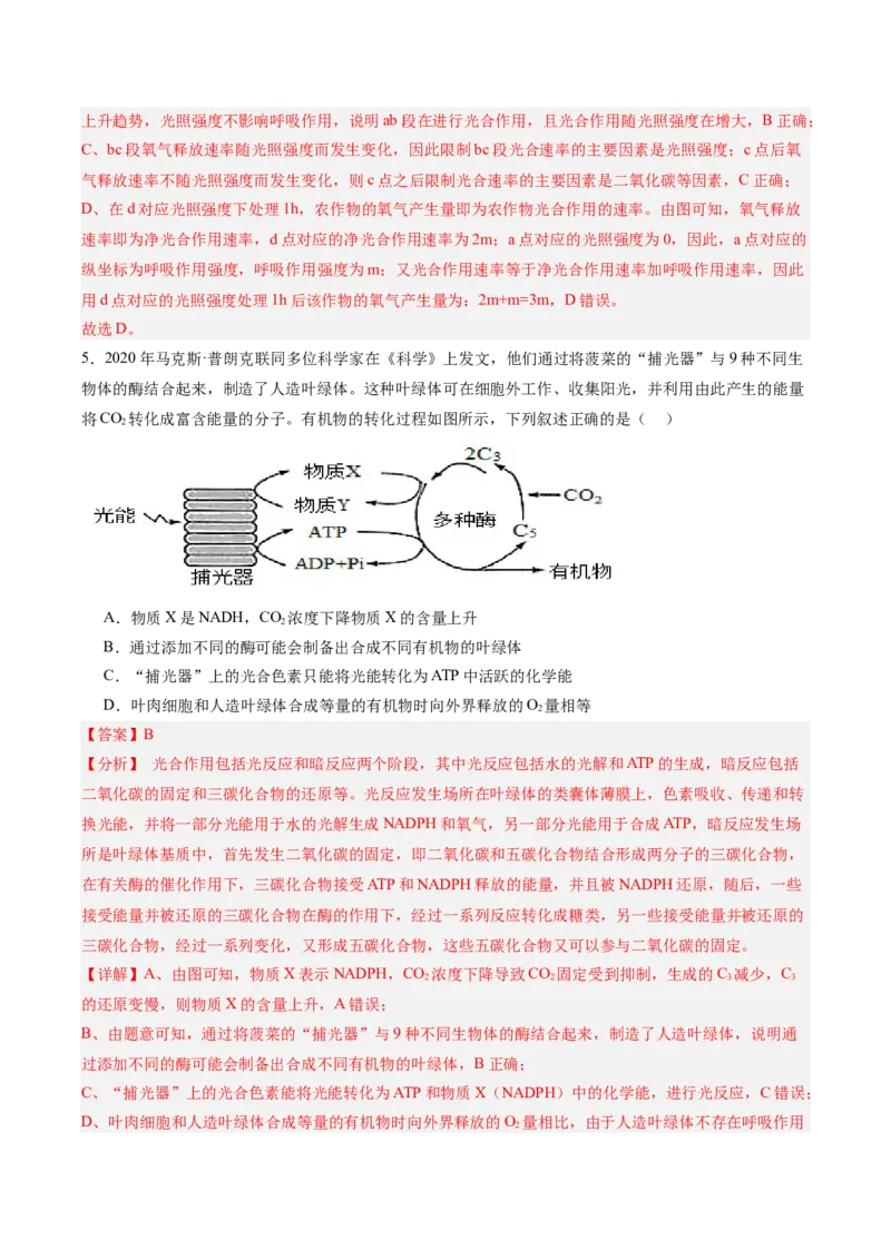 考点通关卷11细胞代谢综合分析（解析版）_新高考复习资料_2025年新高考资料_2025年高考生物一轮复习考点通关卷（新高考通用）