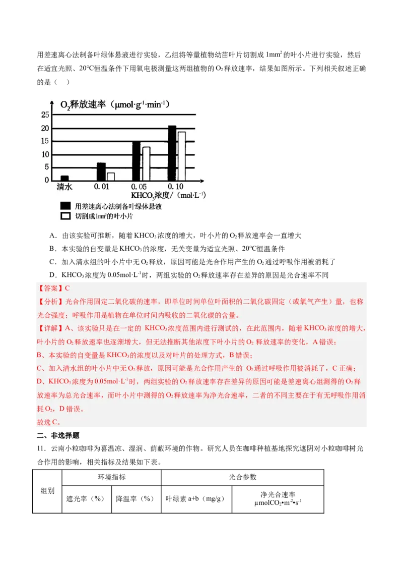 考点通关卷11细胞代谢综合分析（解析版）_新高考复习资料_2025年新高考资料_2025年高考生物一轮复习考点通关卷（新高考通用）