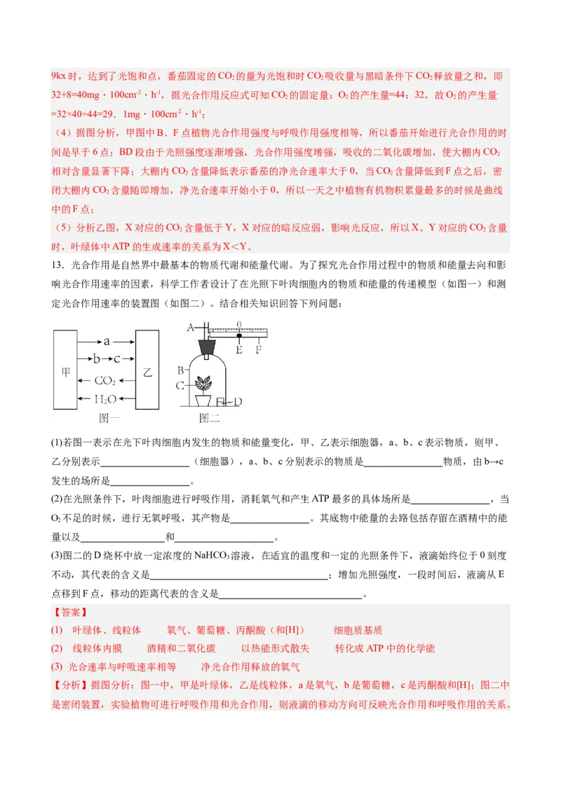 考点通关卷11细胞代谢综合分析（解析版）_新高考复习资料_2025年新高考资料_2025年高考生物一轮复习考点通关卷（新高考通用）