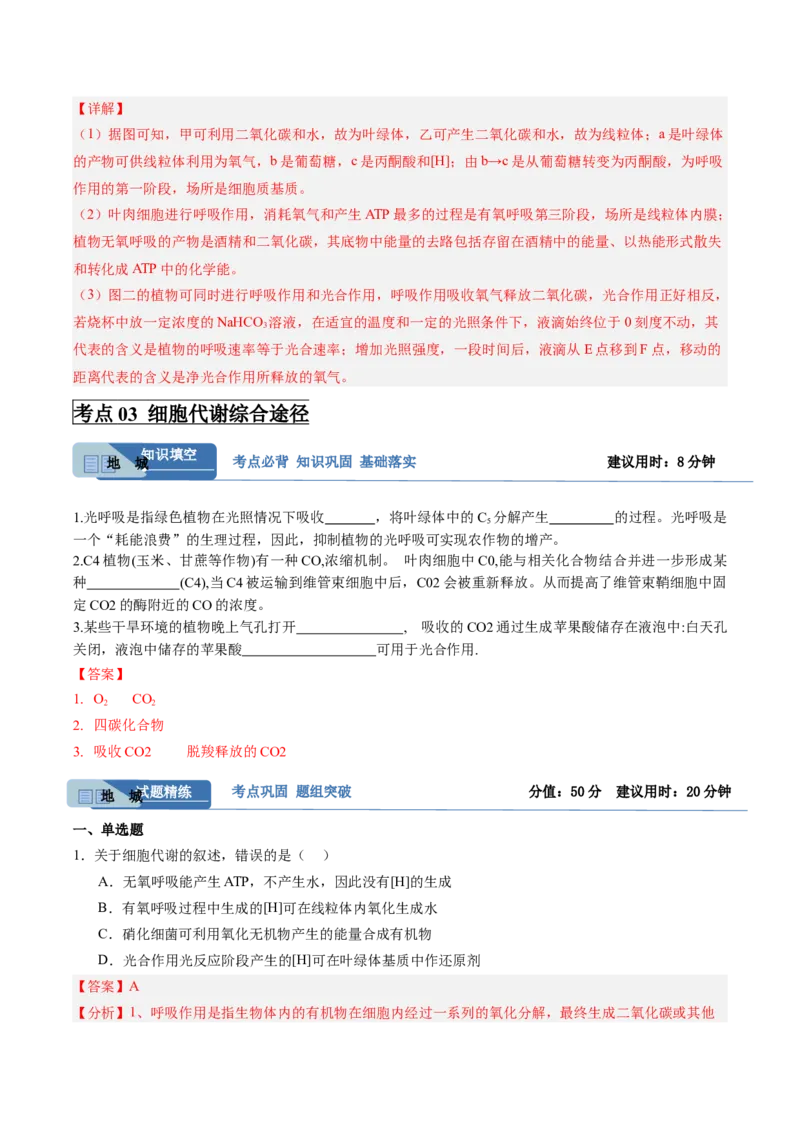 考点通关卷11细胞代谢综合分析（解析版）_新高考复习资料_2025年新高考资料_2025年高考生物一轮复习考点通关卷（新高考通用）