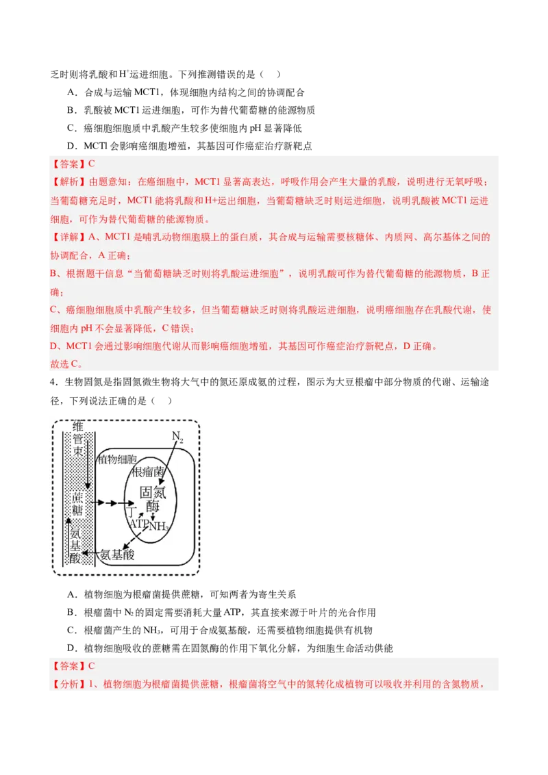 考点通关卷11细胞代谢综合分析（解析版）_新高考复习资料_2025年新高考资料_2025年高考生物一轮复习考点通关卷（新高考通用）