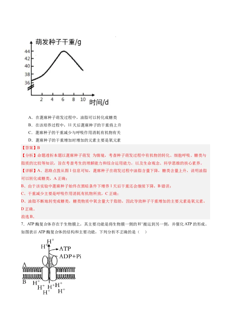 考点通关卷11细胞代谢综合分析（解析版）_新高考复习资料_2025年新高考资料_2025年高考生物一轮复习考点通关卷（新高考通用）