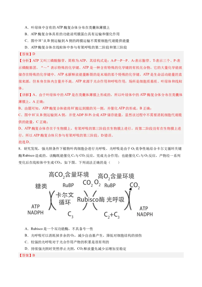 考点通关卷11细胞代谢综合分析（解析版）_新高考复习资料_2025年新高考资料_2025年高考生物一轮复习考点通关卷（新高考通用）
