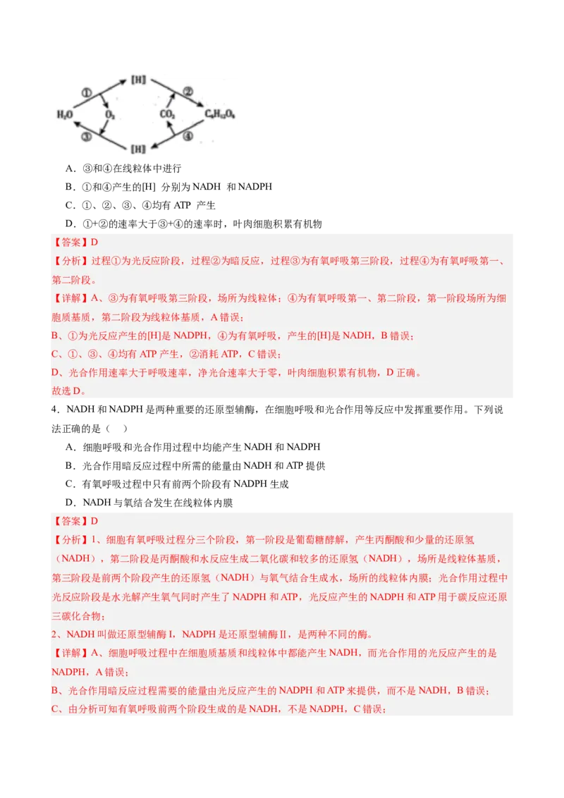考点通关卷11细胞代谢综合分析（解析版）_新高考复习资料_2025年新高考资料_2025年高考生物一轮复习考点通关卷（新高考通用）