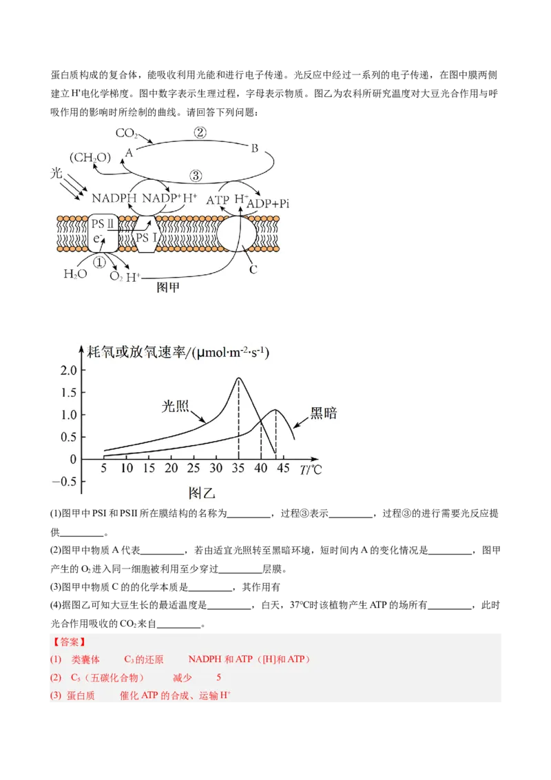 考点通关卷11细胞代谢综合分析（解析版）_新高考复习资料_2025年新高考资料_2025年高考生物一轮复习考点通关卷（新高考通用）