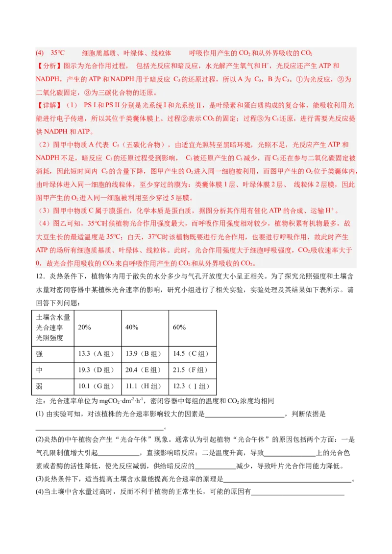 考点通关卷11细胞代谢综合分析（解析版）_新高考复习资料_2025年新高考资料_2025年高考生物一轮复习考点通关卷（新高考通用）