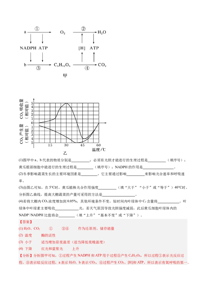 考点通关卷11细胞代谢综合分析（解析版）_新高考复习资料_2025年新高考资料_2025年高考生物一轮复习考点通关卷（新高考通用）