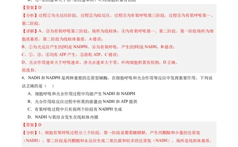 考点通关卷11细胞代谢综合分析（解析版）_新高考复习资料_2025年新高考资料_2025年高考生物一轮复习考点通关卷（新高考通用）