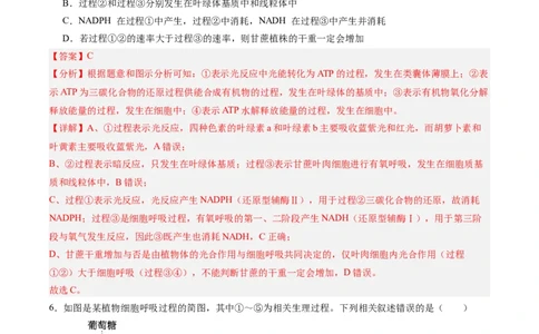 考点通关卷11细胞代谢综合分析（解析版）_新高考复习资料_2025年新高考资料_2025年高考生物一轮复习考点通关卷（新高考通用）