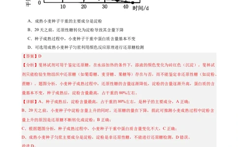 考点通关卷03糖类和脂质（解析版）_2025年新高考资料_一轮复习_2025年高考生物一轮复习考点通关卷（新高考通用）