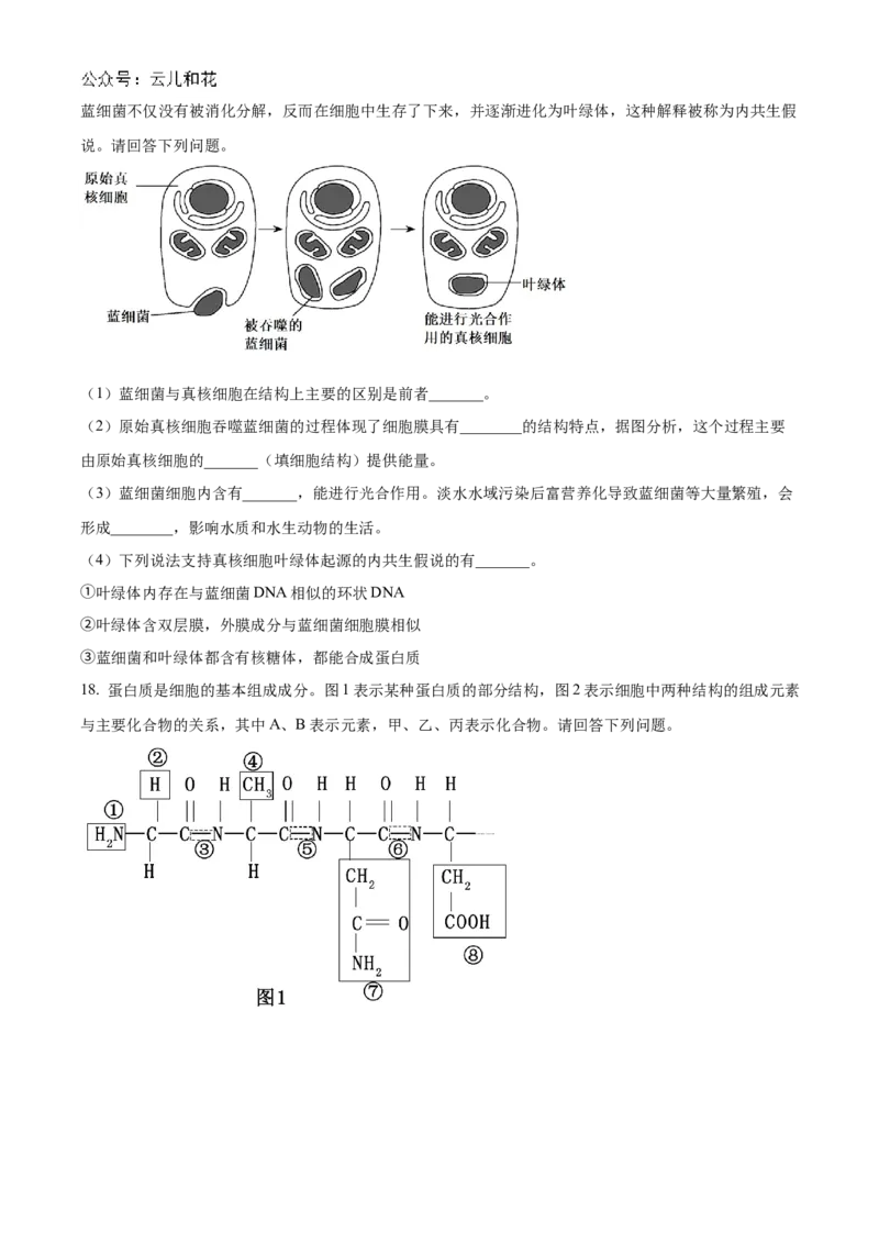 贵州省六盘水市2024&mdash;2025学年高一上学期期中考试生物试题Word版无答案_2024年12月试卷_1203贵州省六盘水市2024-2025学年高一上学期11月期中考试