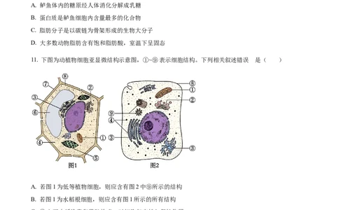 贵州省六盘水市2024&mdash;2025学年高一上学期期中考试生物试题Word版无答案_2024年12月试卷_1203贵州省六盘水市2024-2025学年高一上学期11月期中考试