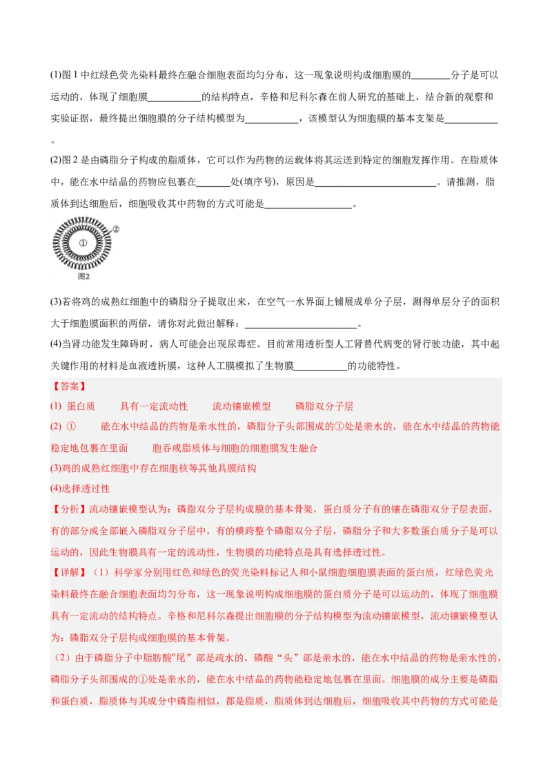 考点通关卷05细胞膜和细胞核（解析版）_2025年新高考资料_一轮复习_2025年高考生物一轮复习考点通关卷（新高考通用）