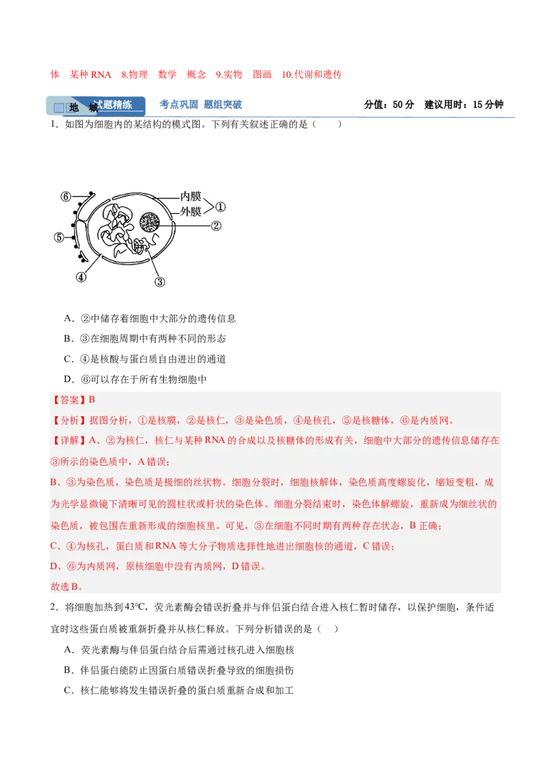 考点通关卷05细胞膜和细胞核（解析版）_2025年新高考资料_一轮复习_2025年高考生物一轮复习考点通关卷（新高考通用）