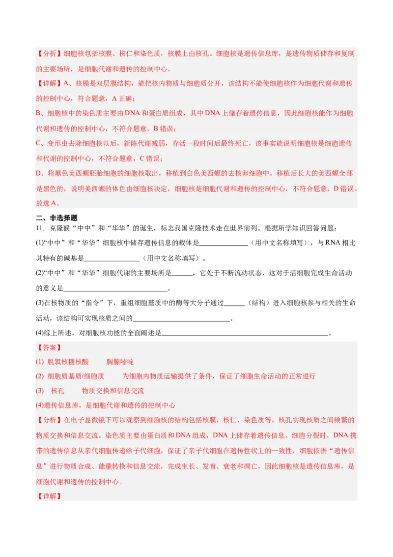 考点通关卷05细胞膜和细胞核（解析版）_2025年新高考资料_一轮复习_2025年高考生物一轮复习考点通关卷（新高考通用）
