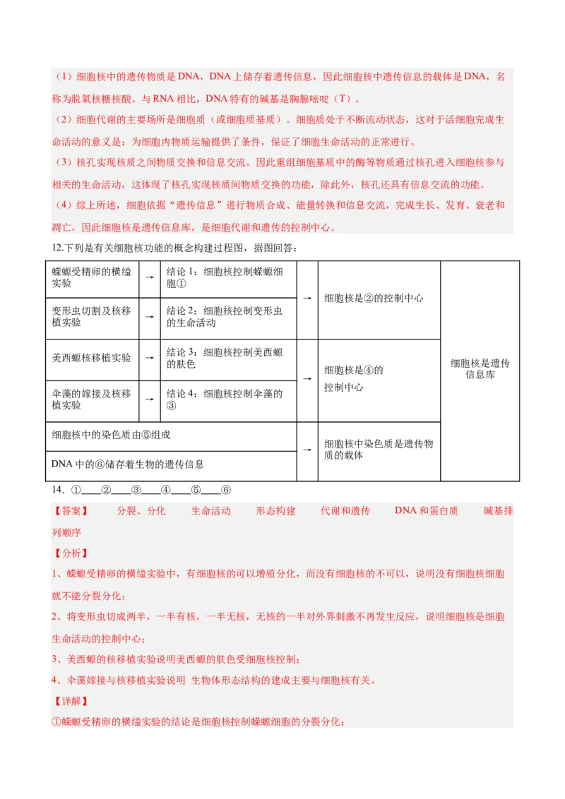 考点通关卷05细胞膜和细胞核（解析版）_2025年新高考资料_一轮复习_2025年高考生物一轮复习考点通关卷（新高考通用）