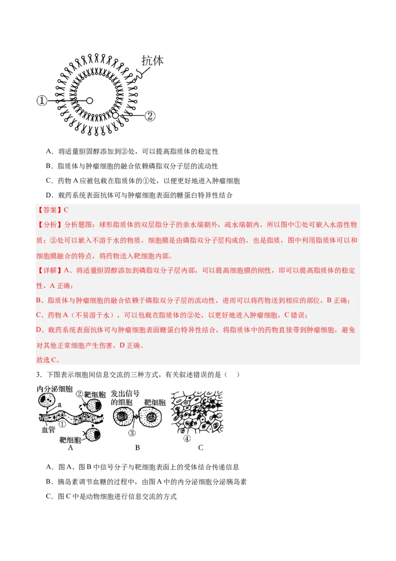 考点通关卷05细胞膜和细胞核（解析版）_2025年新高考资料_一轮复习_2025年高考生物一轮复习考点通关卷（新高考通用）