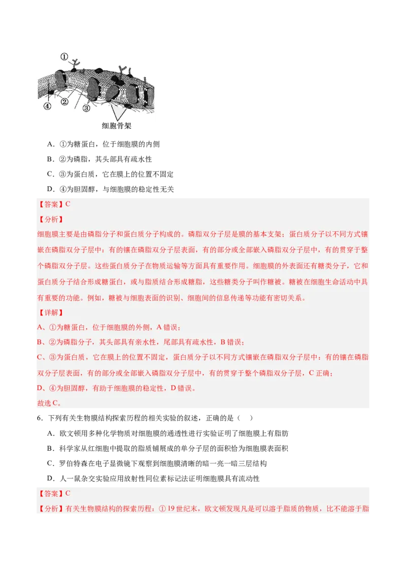 考点通关卷05细胞膜和细胞核（解析版）_2025年新高考资料_一轮复习_2025年高考生物一轮复习考点通关卷（新高考通用）