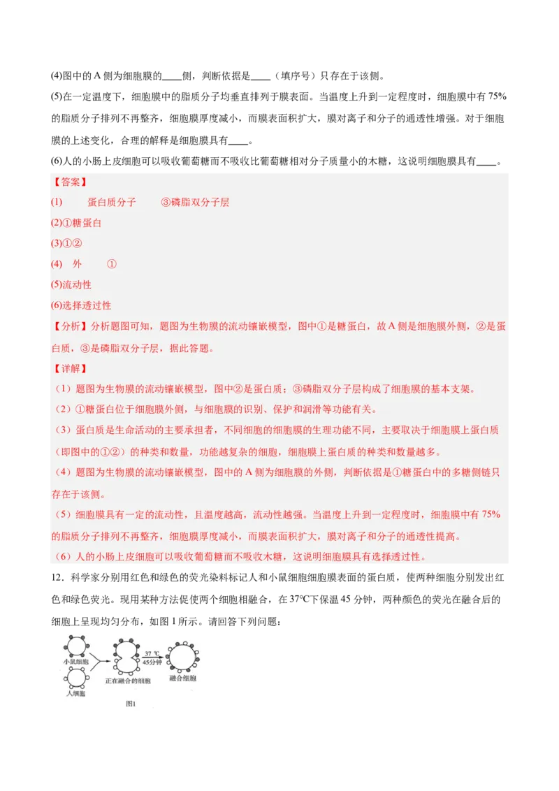 考点通关卷05细胞膜和细胞核（解析版）_2025年新高考资料_一轮复习_2025年高考生物一轮复习考点通关卷（新高考通用）