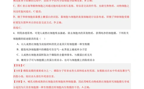 考点通关卷05细胞膜和细胞核（解析版）_2025年新高考资料_一轮复习_2025年高考生物一轮复习考点通关卷（新高考通用）