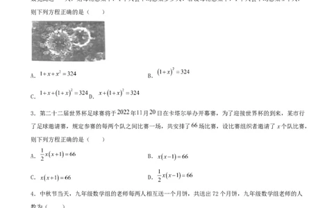 21.3实际问题与一元二次方程（传播问题和变化率问题）（分层作业）原卷版_人教版数学九年级上册_版本二_九年级数学上册（人教版）_分层作业